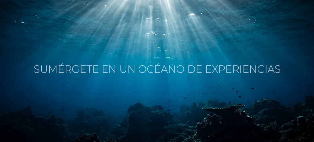 un oceano para nemo